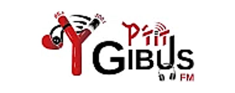 Ptit Gibus FM