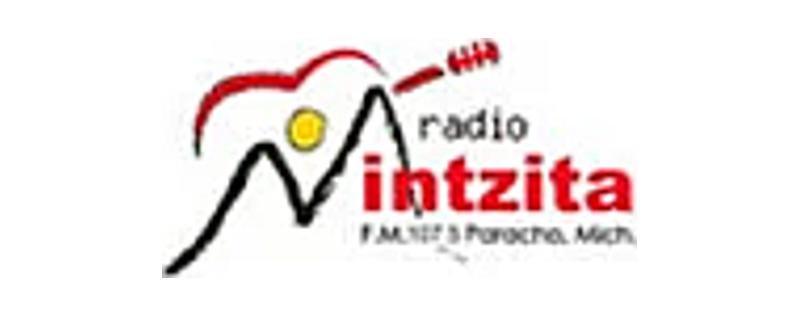 logo Radio Minzita 107.5