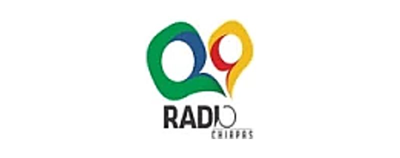logo Radio Palenque 1040 AM