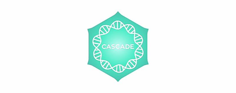 logo Positivity Cascade