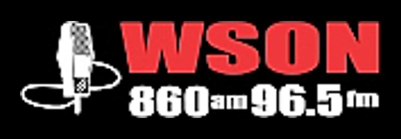 logo WSON