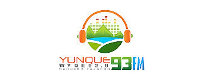 Yunque 93