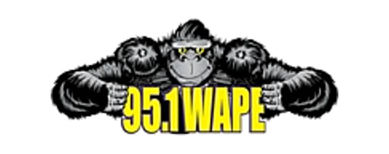 95.1 WAPE