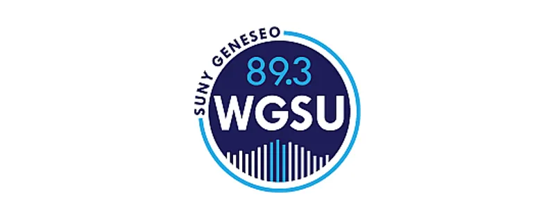 89.3 WGSU