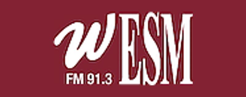logo WESM-FM - Public Radio 91.3 FM