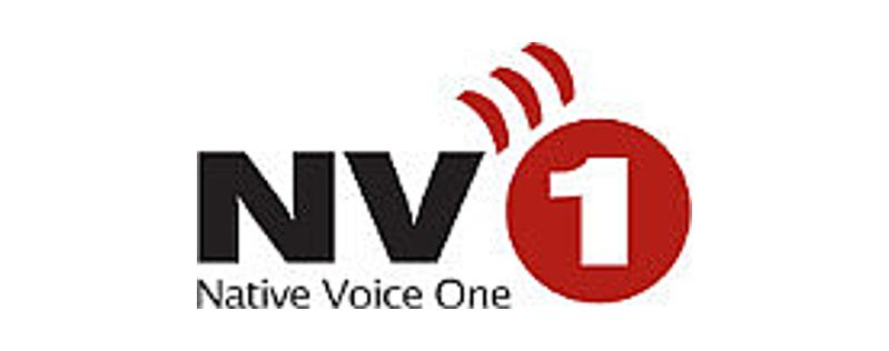 Native Voice One (NV1)
